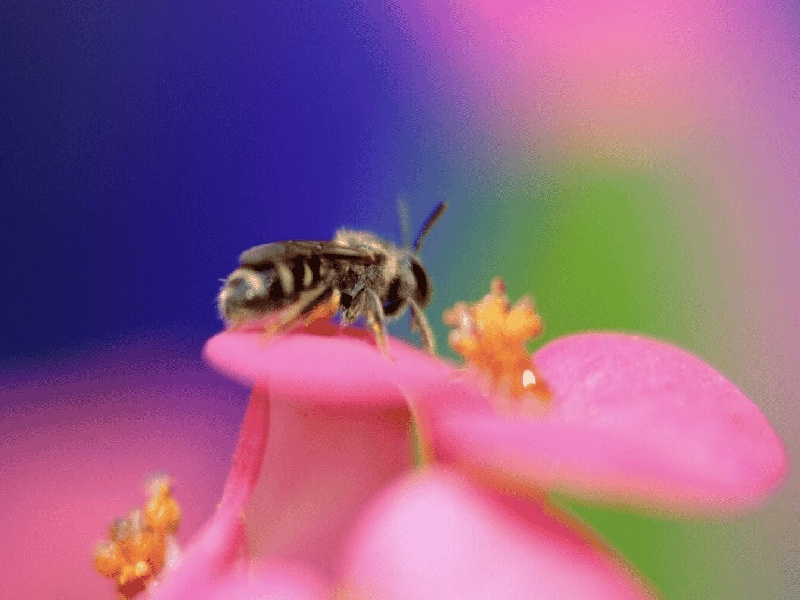 王女士成功案例